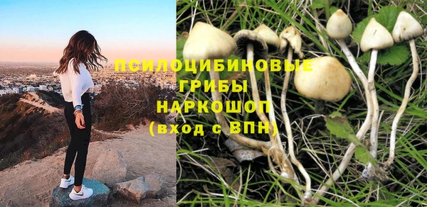 дмт Баксан
